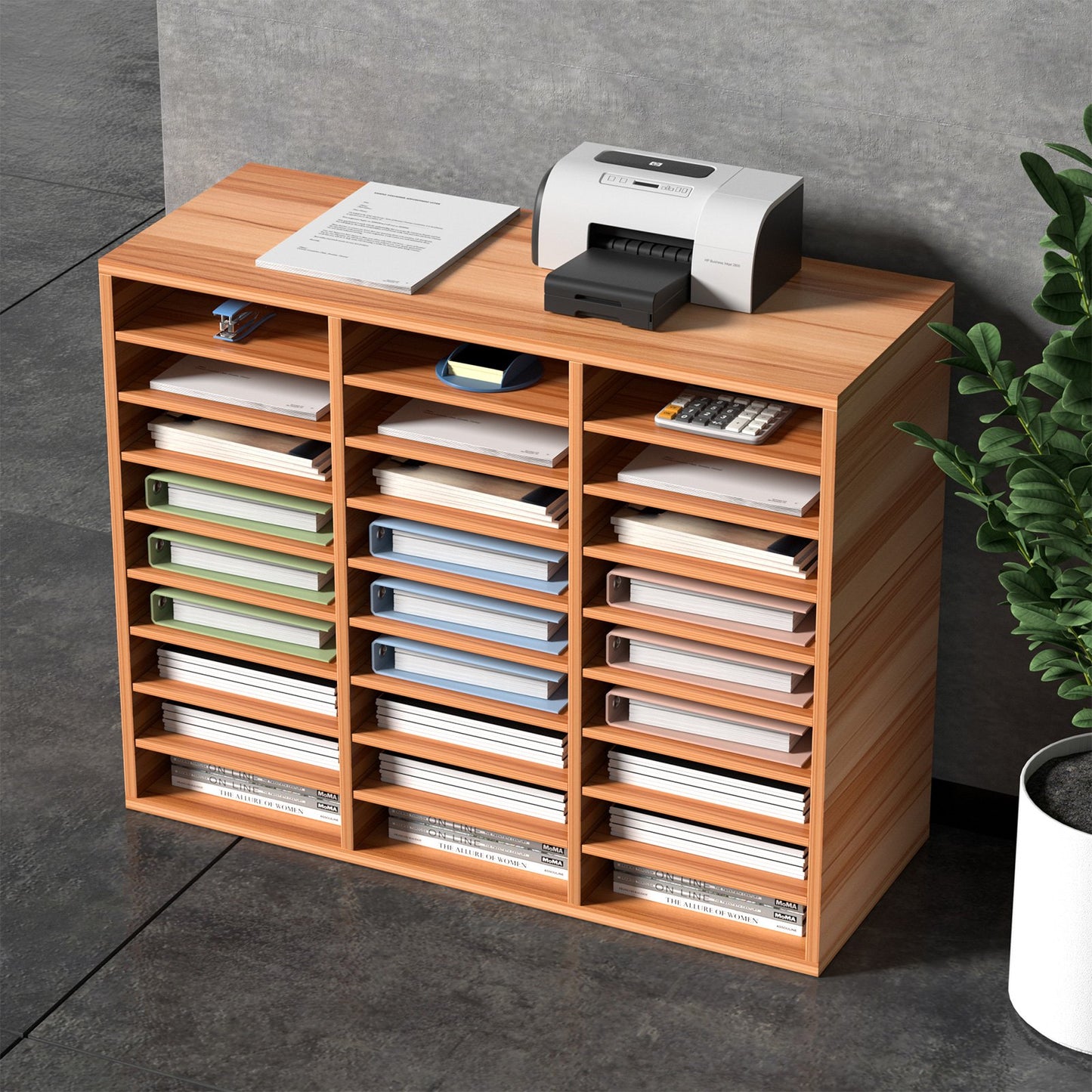 27 Compartments Wood Literature Organizer, Adjustable Shelves, Medium